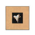Aurelia Flight framed bird wall art with warm neutral tones and black centre detail by KaShi Living.