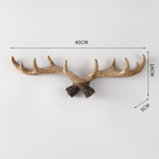 Highland Antler Wall Hook Natural