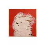 A fluffy dog framed wall art print with a bold red background, suited to playful bedrooms, living rooms and modern gallery walls.
